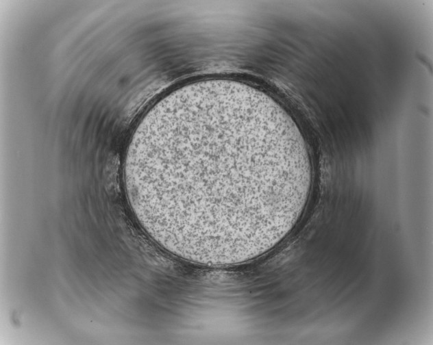 X0000102461265200808291534