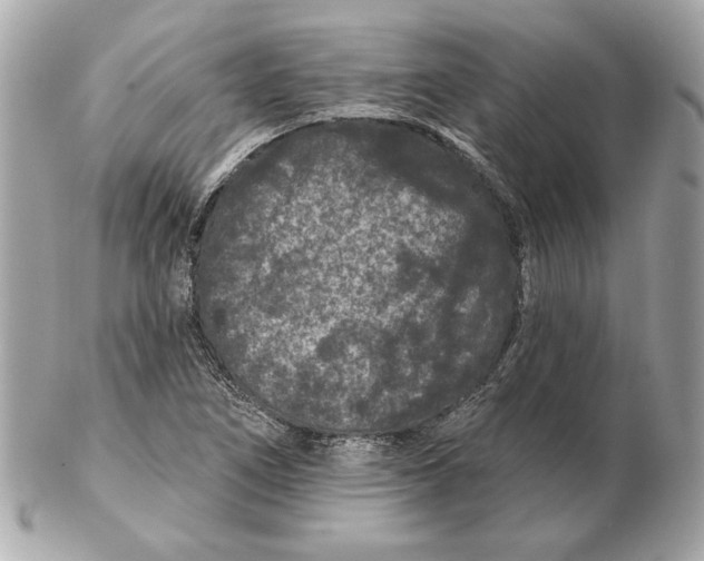 X0000102461266200808291534