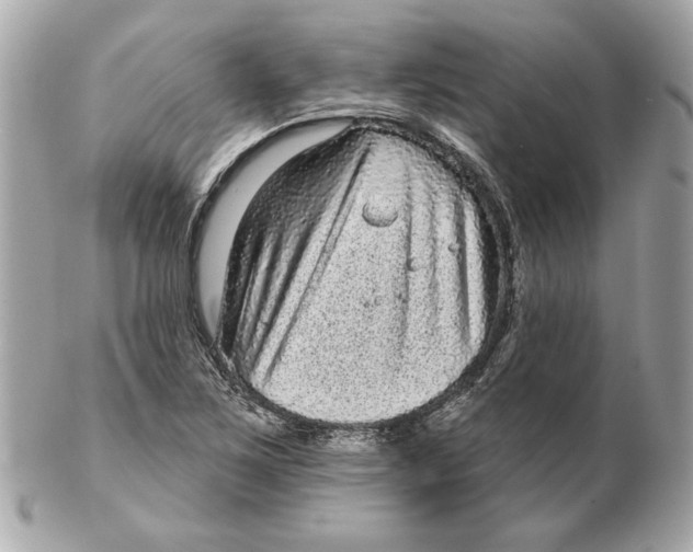 X0000102461267200808291534