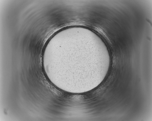 X0000102461268200808291534