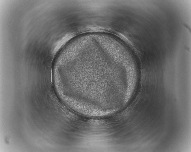 X0000102461269200808291534