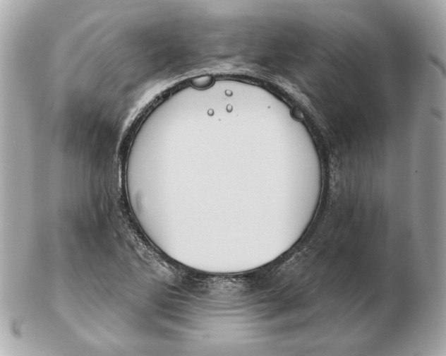 X0000102461270200808291534