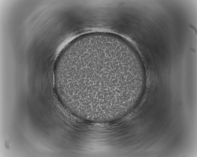 X0000102461271200808291534