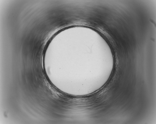 X0000102461272200808291534