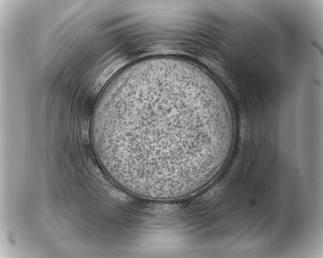 X0000102461273200808291534