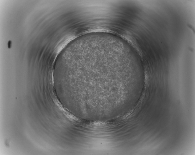 X0000102461274200808291534