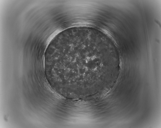 X0000102461275200808291534