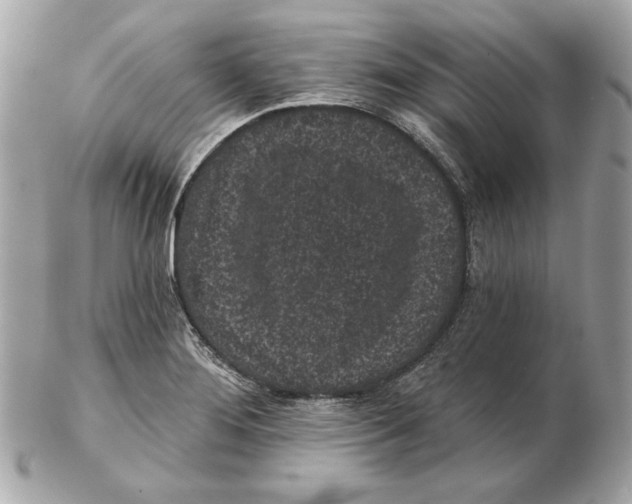 X0000102461276200808291534