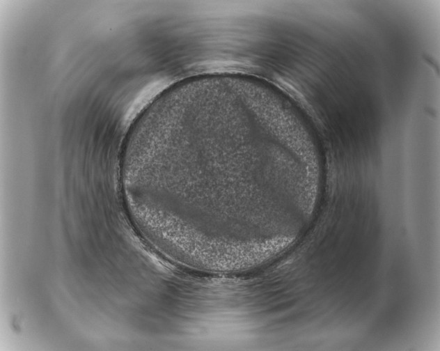 X0000102461277200808291534