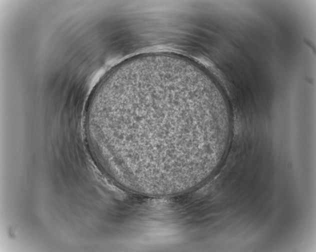 X0000102461278200808291534