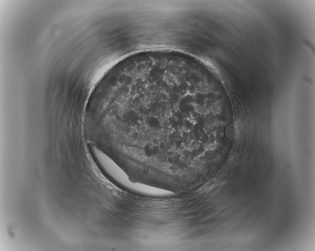 X0000102461279200808291534