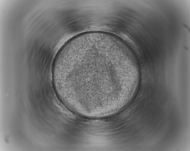 X0000102461280200808291534