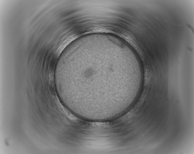 X0000102461281200808291534