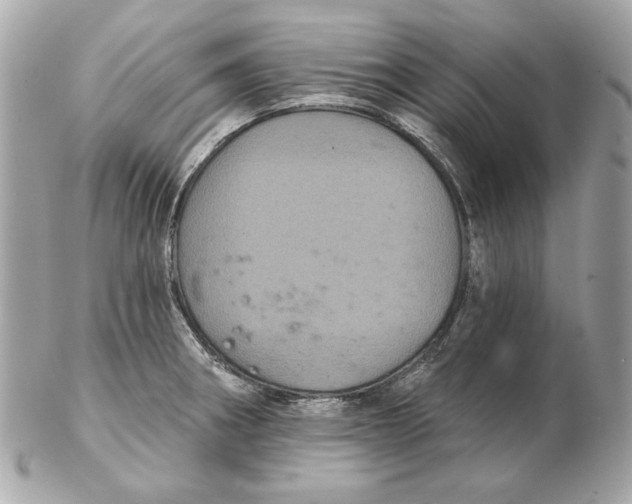 X0000102461282200808291534