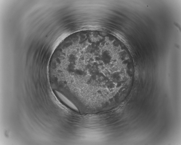 X0000102461283200808291534