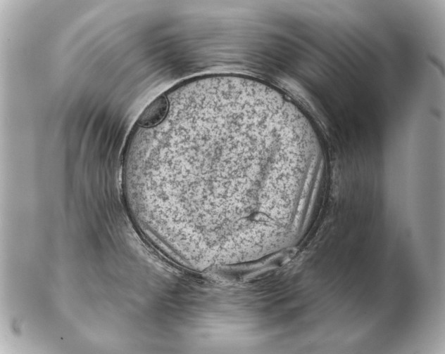 X0000102461284200808291534