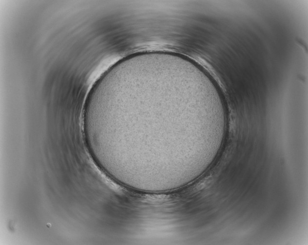 X0000102461285200808291534