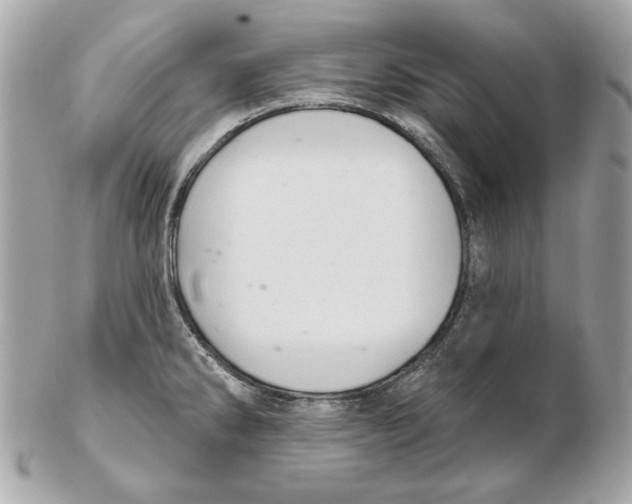 X0000102461286200808291534