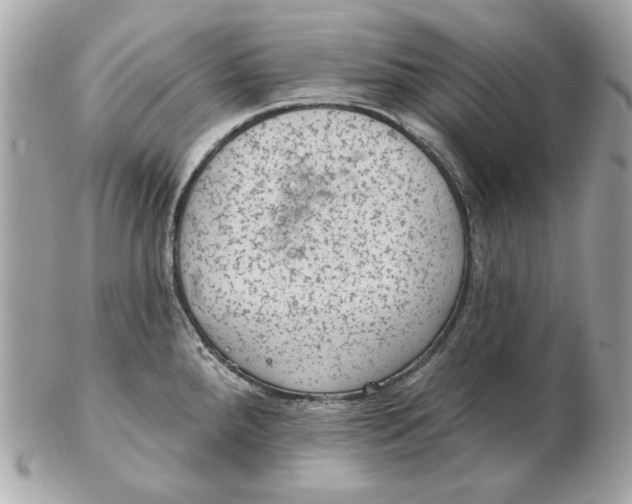 X0000102461288200808291534