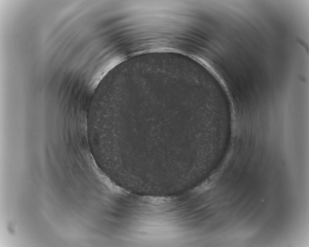 X0000102461289200808291534