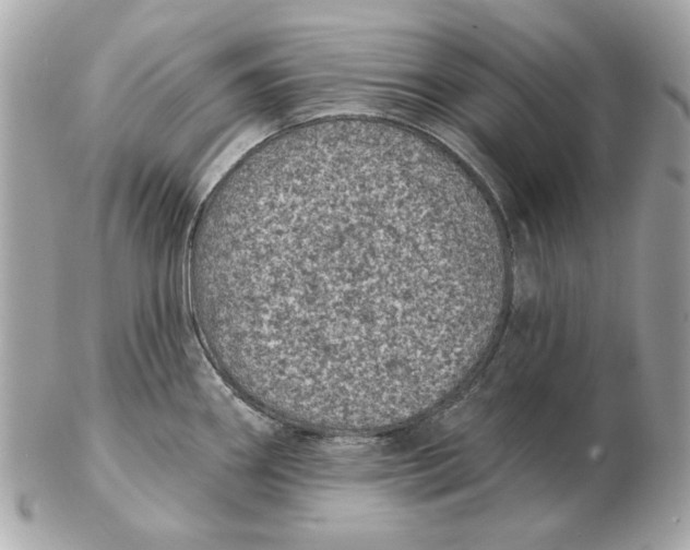 X0000102461290200808291534