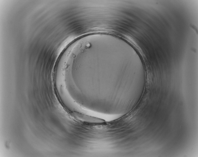 X0000102461291200808291534