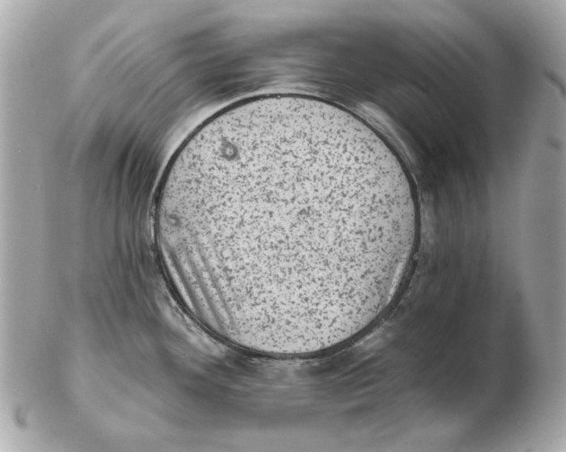 X0000102461292200808291534