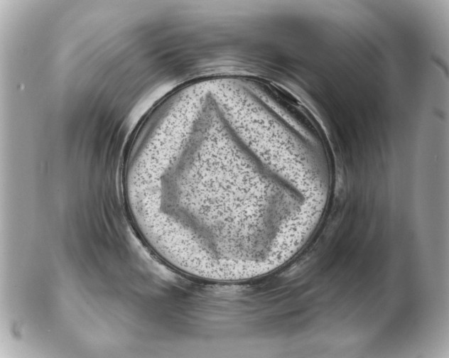 X0000102461293200808291534