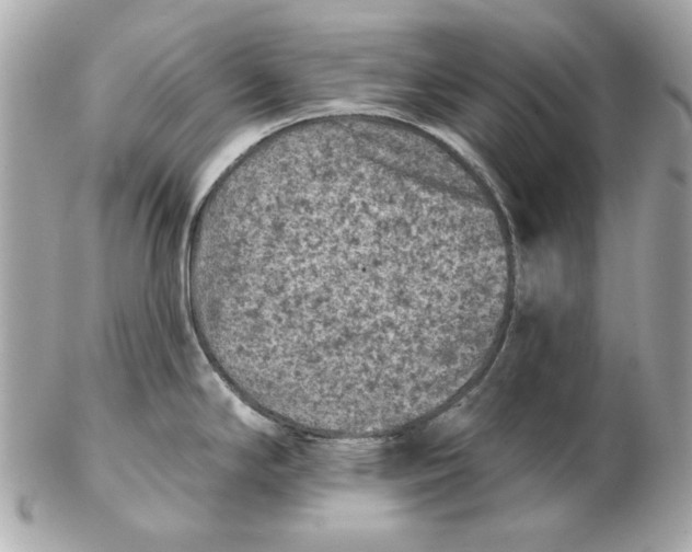 X0000102461294200808291534