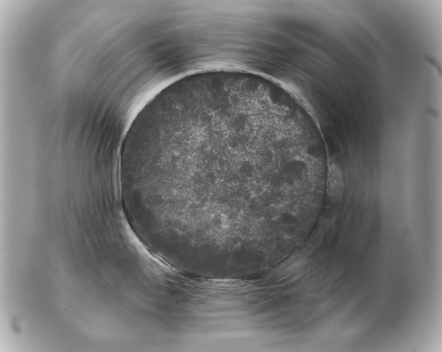 X0000102461295200808291534