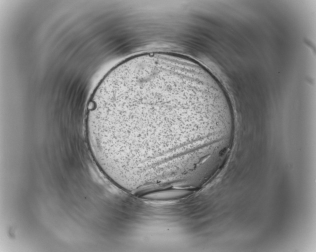 X0000102461296200808291534