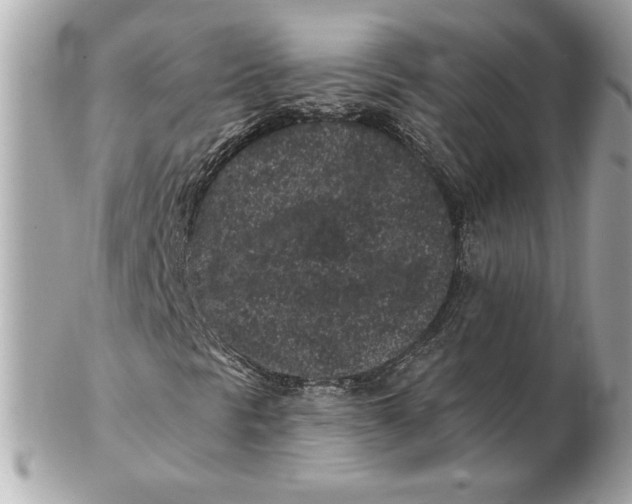 X0000102461297200808291533