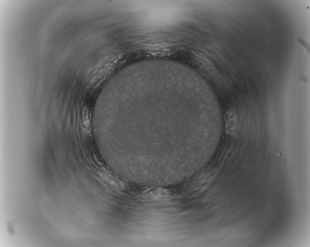 X0000102461298200808291533