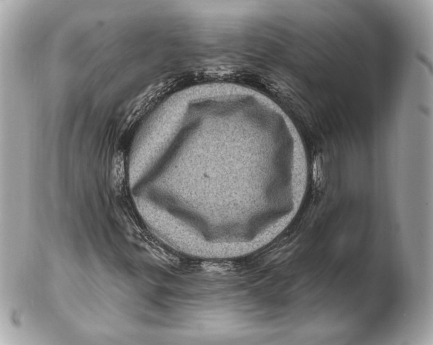 X0000102461299200808291533