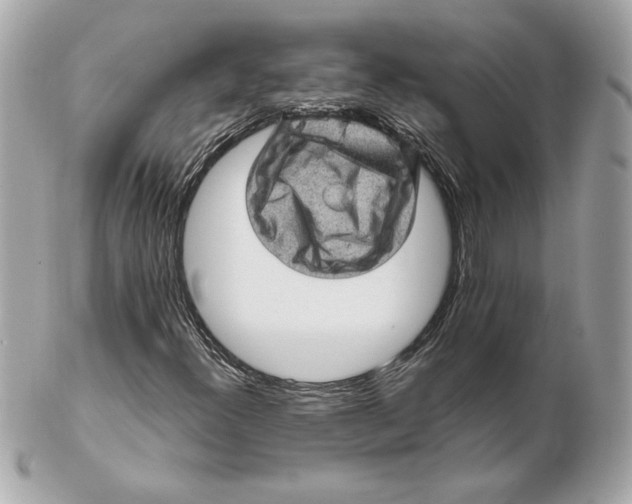 X0000102461300200808291533