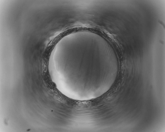 X0000102461303200808291533