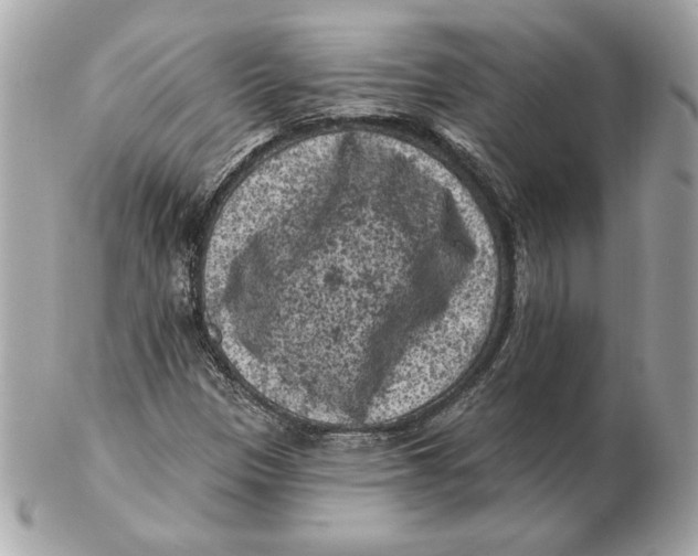 X0000102461305200808291533