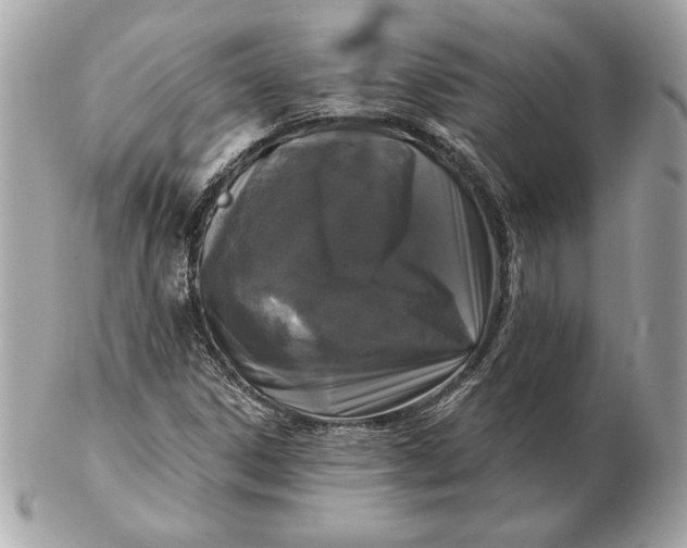 X0000102461306200808291533