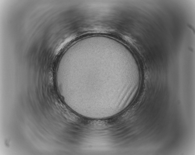 X0000102461307200808291533