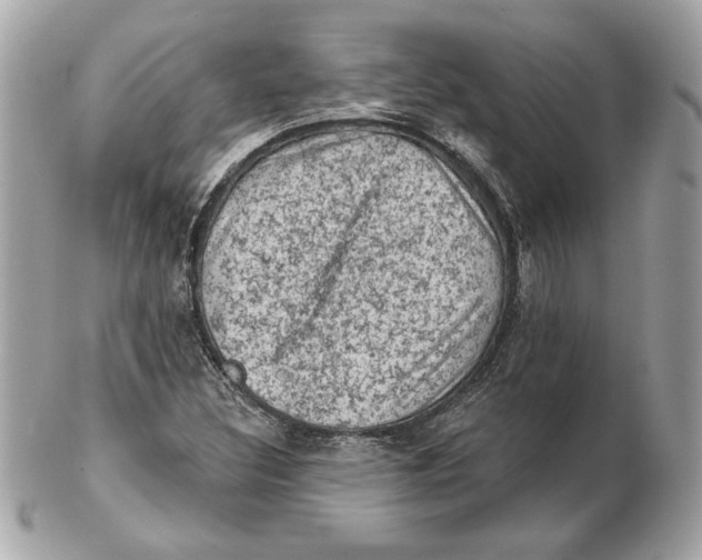 X0000102461308200808291533