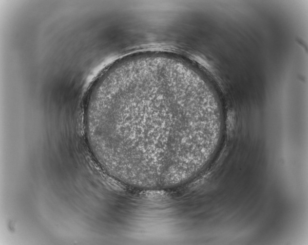 X0000102461310200808291533