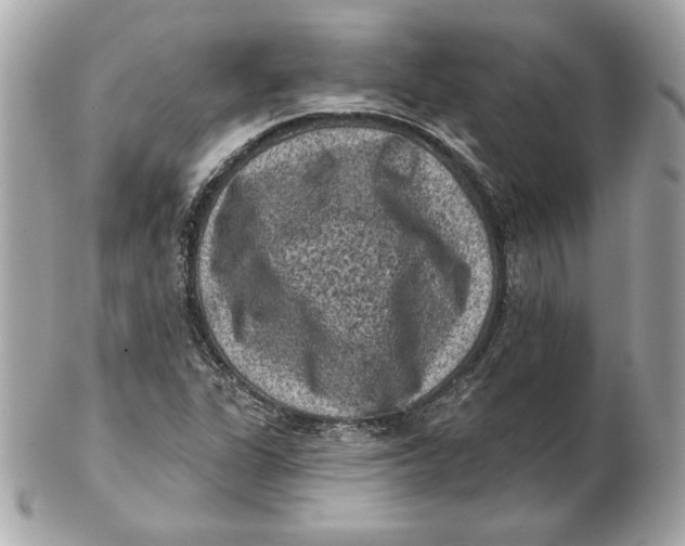 X0000102461311200808291533