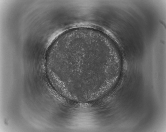 X0000102461312200808291533