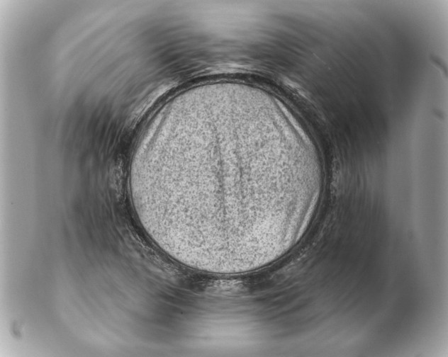 X0000102461313200808291533