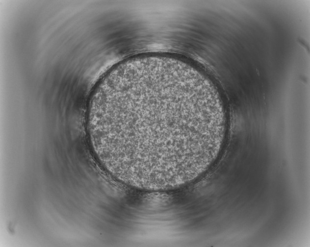 X0000102461314200808291533