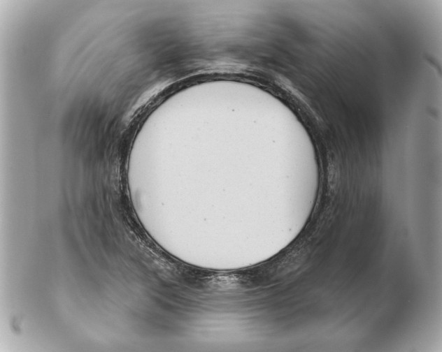 X0000102461315200808291533