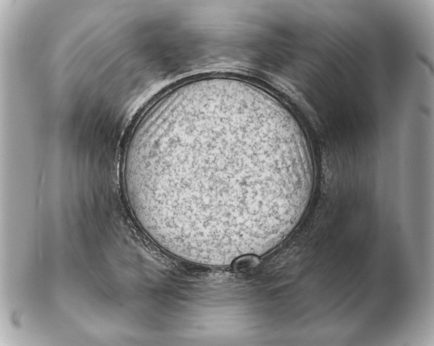 X0000102461316200808291534