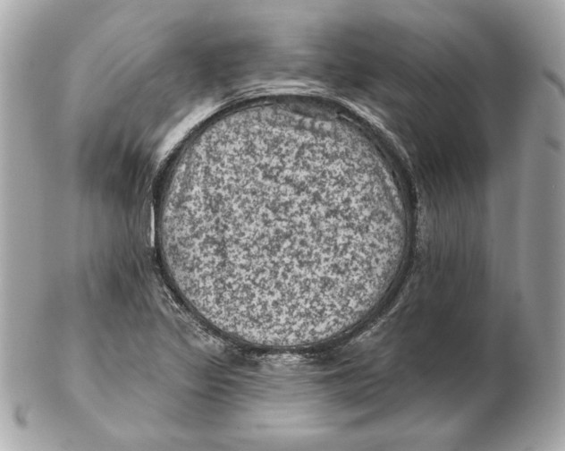 X0000102461317200808291534