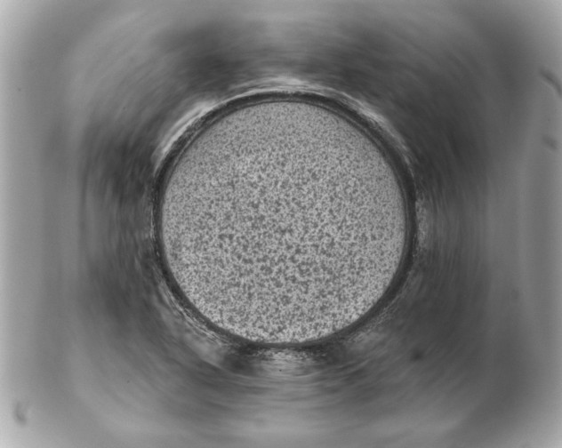 X0000102461318200808291534