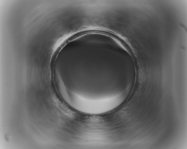 X0000102461319200808291534